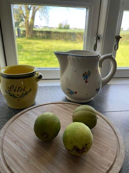 Vila Aeblehuset- Landhus Med Fred&Ro Lige Ved Gadekaeret Errindlev Exteriér fotografie